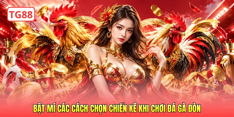 Bật mí các cách chọn chiến kê khi chơi đá gà đòn