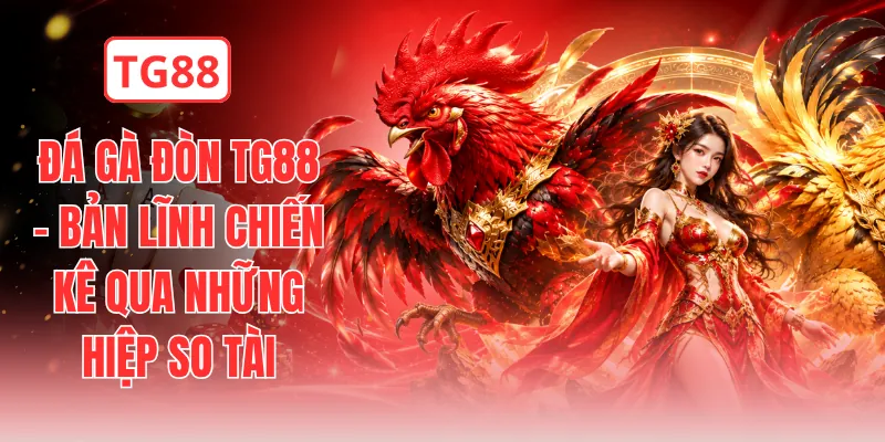 Đá Gà Đòn TG88 - Bản Lĩnh Chiến Kê Qua Những Hiệp So Tài