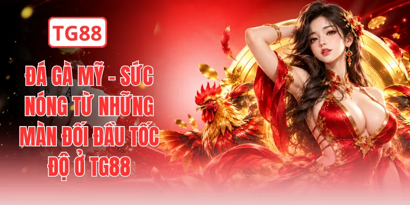 Đá Gà Mỹ - Sức Nóng Từ Những Màn Đối Đầu Tốc Độ Ở TG88