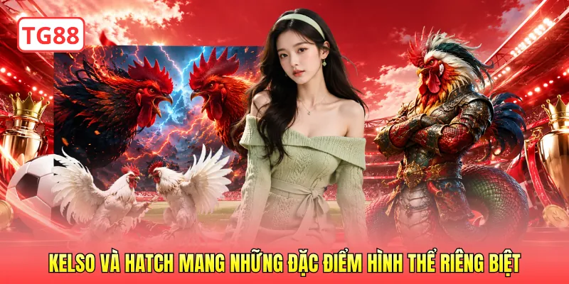 Kelso và Hatch mang những đặc điểm hình thể riêng biệt