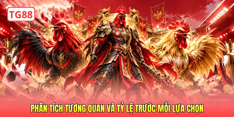 Phân tích tương quan và tỷ lệ trước mỗi lựa chọn
