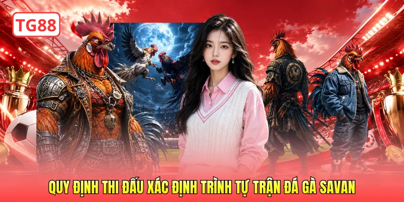 Quy định thi đấu xác định trình tự trận đá gà savan