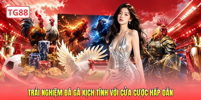 Trải nghiệm đá gà kịch tính với cửa cược hấp dẫn